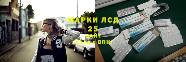стафф Аркадак