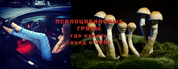 стафф Аркадак