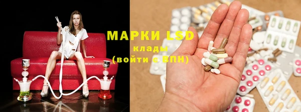 стафф Аркадак