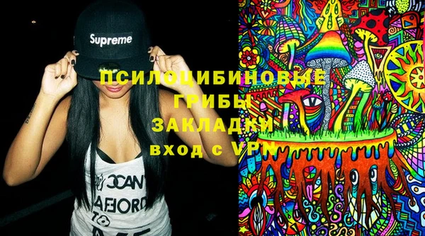 apvp Армянск