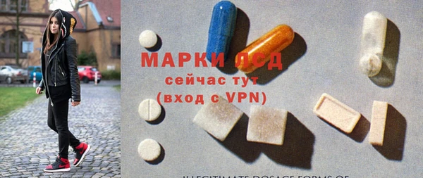стафф Аркадак