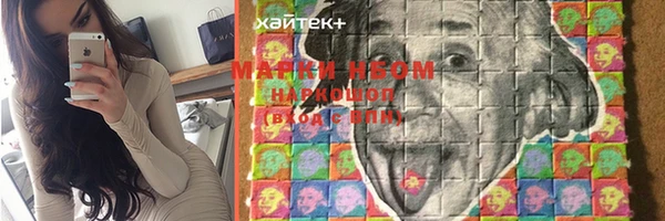 стафф Аркадак