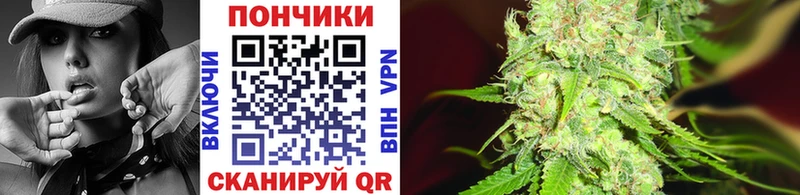 Марихуана сатива  Купить где  Барыш 
